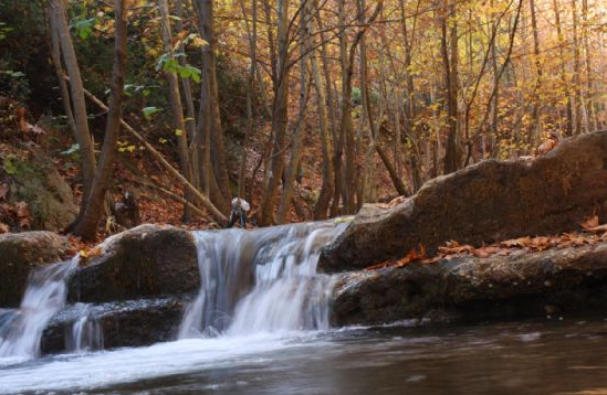 Görenleri büyüleyen saklı cennet - Resim: 2