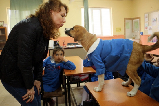 Gençlik hastalığından kurtarılamayan 'Fındık' bulunduğu mezarlığa gömülecek - Resim: 1