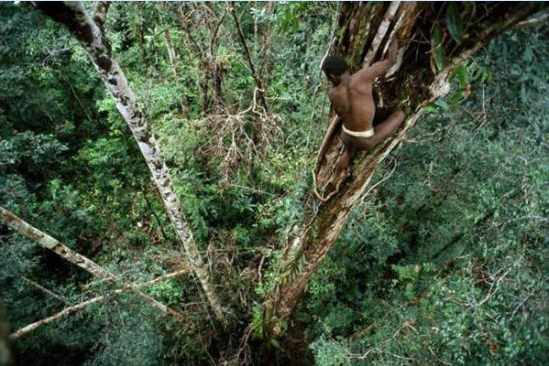 Ağaçlarda yaşayan insanlar - Resim: 3