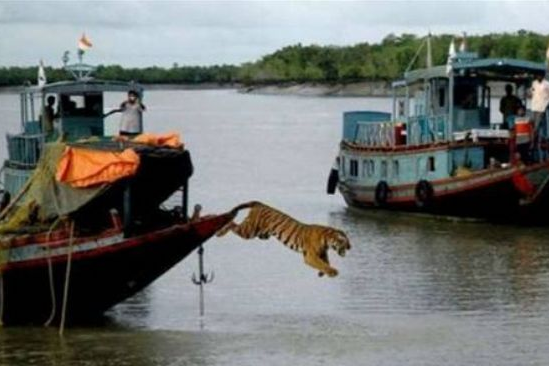 Burada herşey gerçek! - Resim: 1