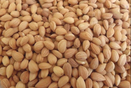 İlk bakışta herkes badem sanıyor! Kokusuyla baş döndüren mucize - Resim: 1