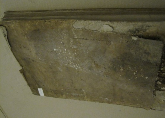 Topkapı Sarayı'ndaki el yazmaları çürüyor  - Resim: 3