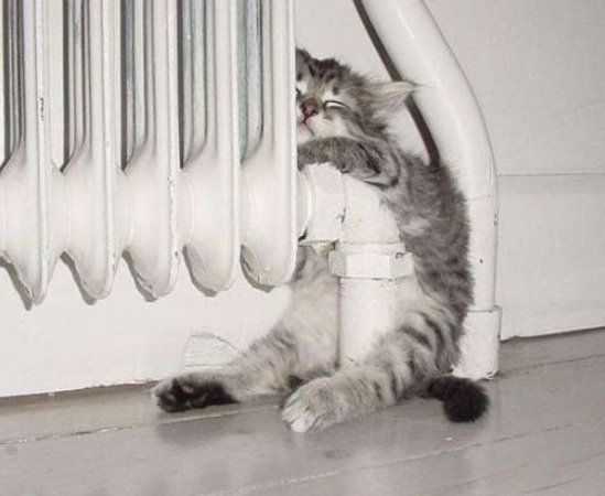 Günün en çok tıklananları - Resim: 2