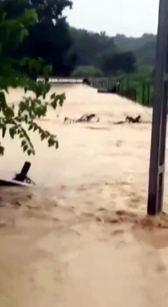 Meteoroloji uyarmıştı: Sakarya'yı sağanak yağış vurdu: Bazı bölgeleri su bastı! - Resim: 2