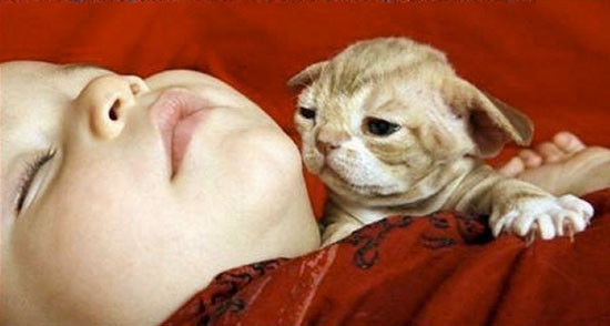 Minikler filmlerden çok şey öğrenmiş - Resim: 1