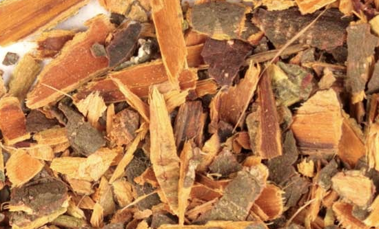 İç kısmı zehirli olan barut ağacının kabukları her derde deva! - Resim: 4