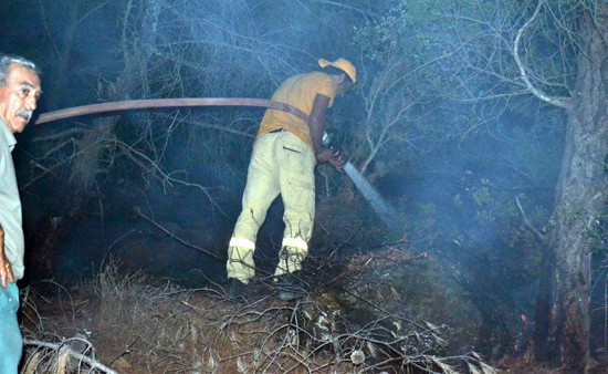 Datça'daki o yangın söndürüldü - Resim: 4