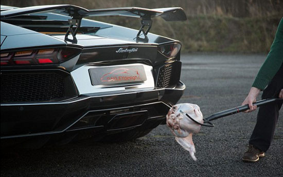 Bu Lamborghini hindi bile pişiriyor! - Resim: 3