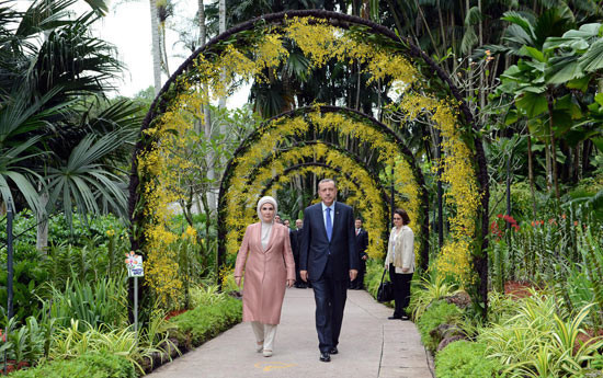 Başbakan'a orkide sürprizi - Resim: 3