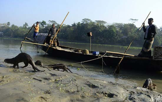 Balıkçıların ilginç balık tutma yöntemi - Resim: 2