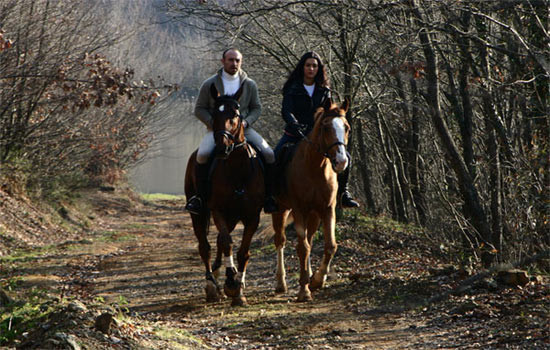 Binbir komedi - Resim: 4