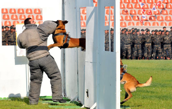 Özel Harekatçılar nefes kesti - Resim: 2