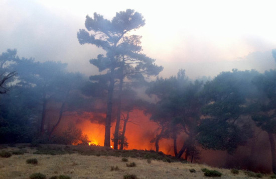 Kazdağları yanıyor! - Resim: 3
