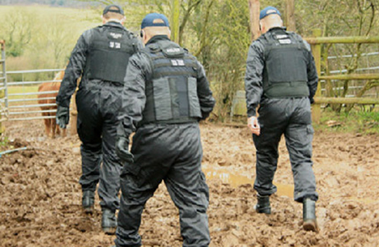 Yeraltı uyuşturucu tarlaları - Resim: 4