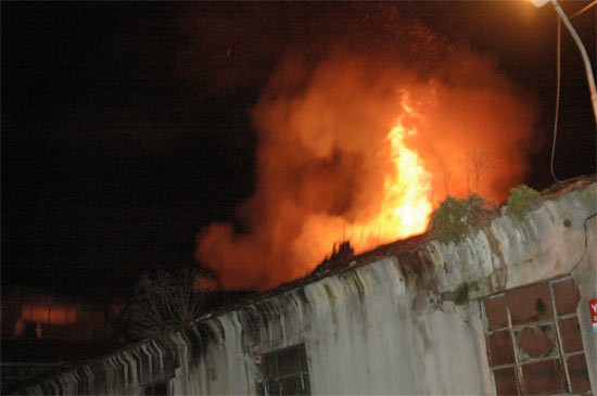 Fatih'te can pazarı - Resim: 1