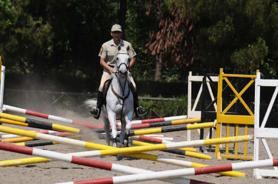 TSK atları törenlere nasıl hazırlanıyor? - Resim: 1