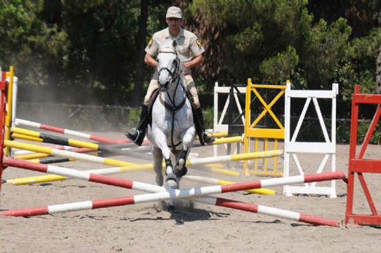 TSK atları törenlere nasıl hazırlanıyor? - Resim: 2