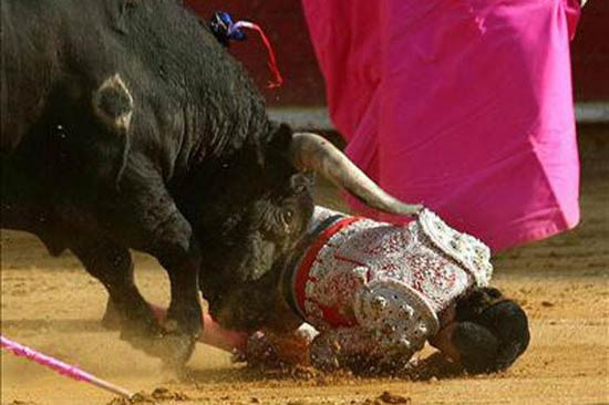 Boğa matadoru gafil avladı! - Resim: 2