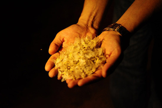 Çiftleşmek için ölüyorlar! - Resim: 4