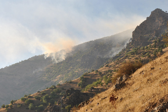 İşte o operasyondan görüntüler - Resim: 1