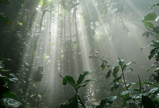 Milyonlarca yıl önce bambaşka bir yerdi - Resim: 4