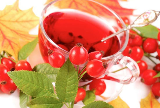 Profesörden böbrek taşına derman bitki - Resim: 3