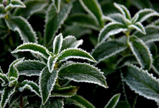 Türkiye'den etkileyici sonbahar fotoğrafları - Resim: 3