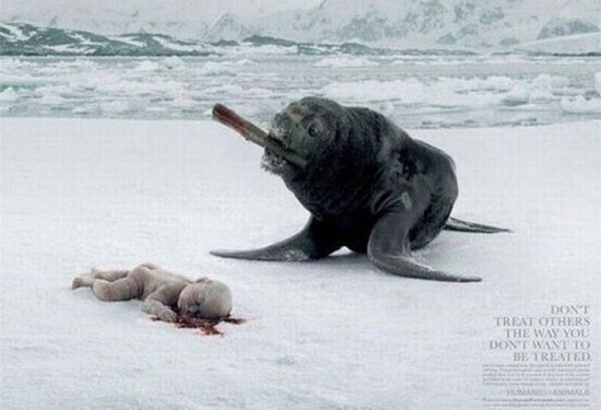 Tüyler ürperten ilginç reklamlar - Resim: 4