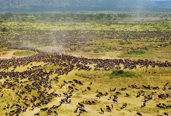 Güne damga vuran kareler - Resim: 1