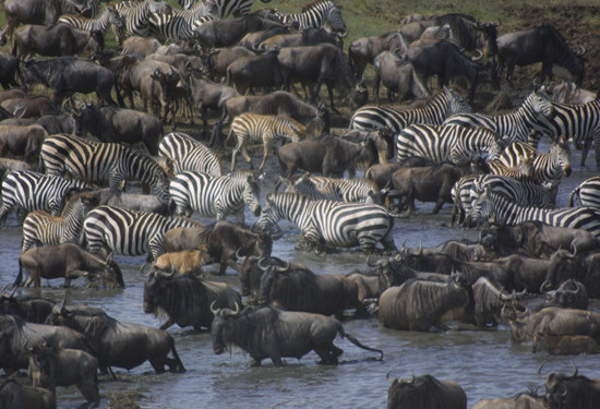 Güne damga vuran kareler - Resim: 2