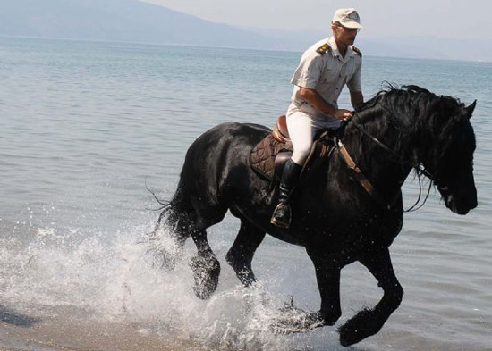 TSK atları törenlere nasıl hazırlanıyor? - Resim: 3