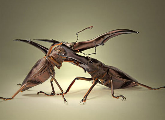 Olağanüstü yaratıklar - Resim: 2