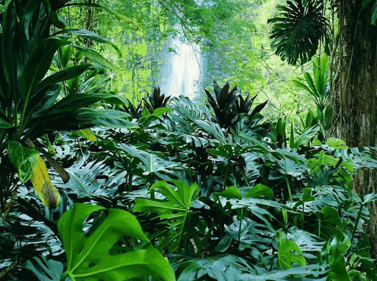 Milyonlarca yıl önce bambaşka bir yerdi - Resim: 3