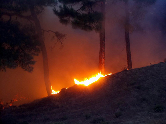 Kazdağları yanıyor! - Resim: 4
