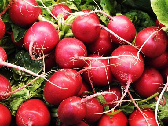 Karatay'dan turp gibi yaşam önerisi! - Resim: 2