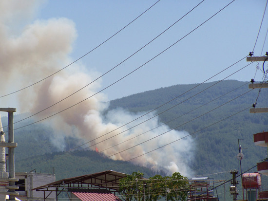 Osmaniye'de orman yangını - Resim: 2