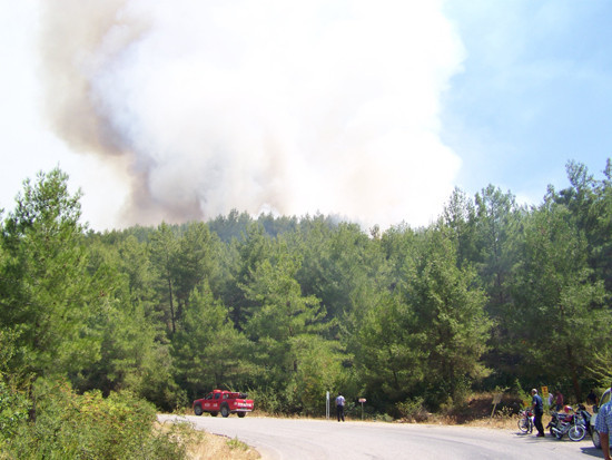 Osmaniye'de orman yangını - Resim: 3