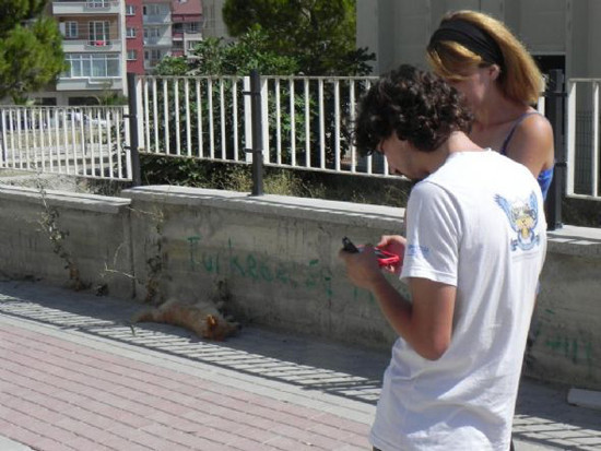 Balkondan asılmış köpek şoku - Resim: 4