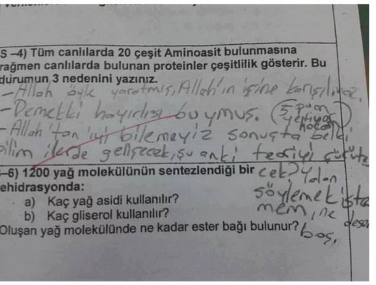 Bu öğrenciler fazlasıyla zeki! - Resim: 3