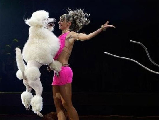 Bu kareler güldürüyor - Resim: 2