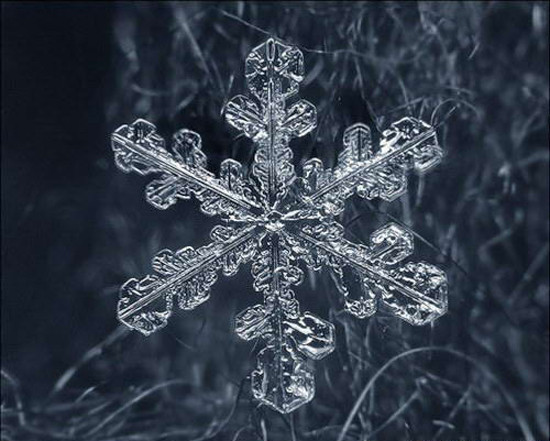 Onu bu kadar yakından hiç görmediniz - Resim: 1