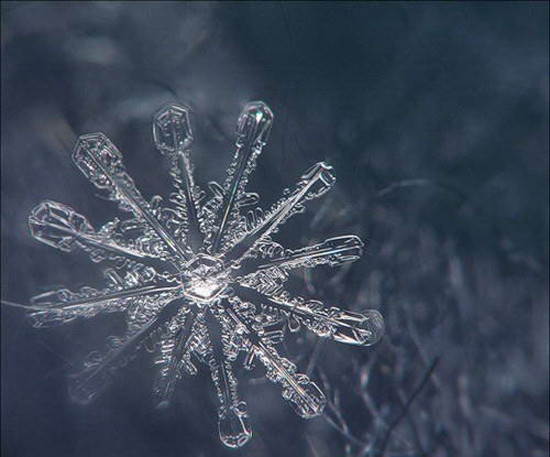 Onu bu kadar yakından hiç görmediniz - Resim: 3