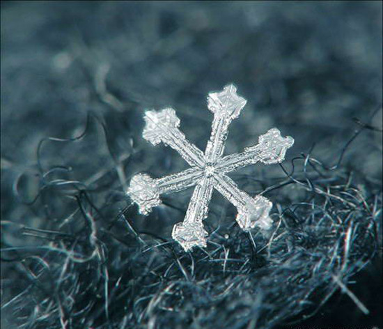 Onu bu kadar yakından hiç görmediniz - Resim: 2