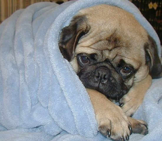 Sanal alemin en ilginç kareleri - Resim: 4