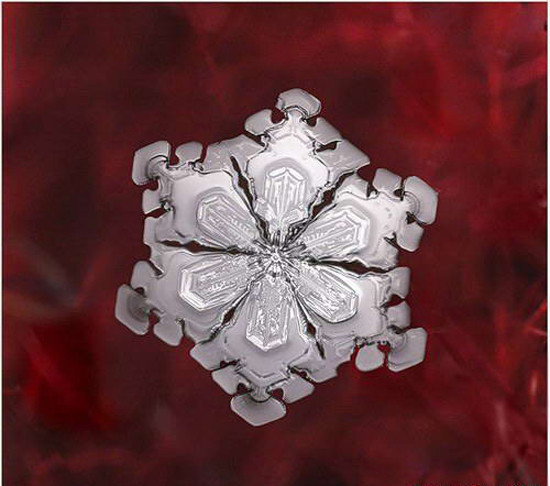 Onu bu kadar yakından hiç görmediniz - Resim: 4