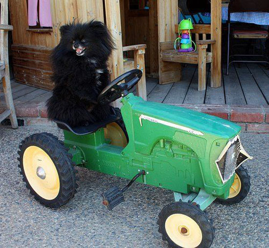 'Yok daha neler' diyeceğiniz anlar! - Resim: 4