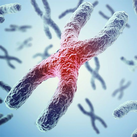 Mutasyonla koronavirüs daha beter oldu! Aşı umudu karardı kabusu artıran gelişme - Resim: 4