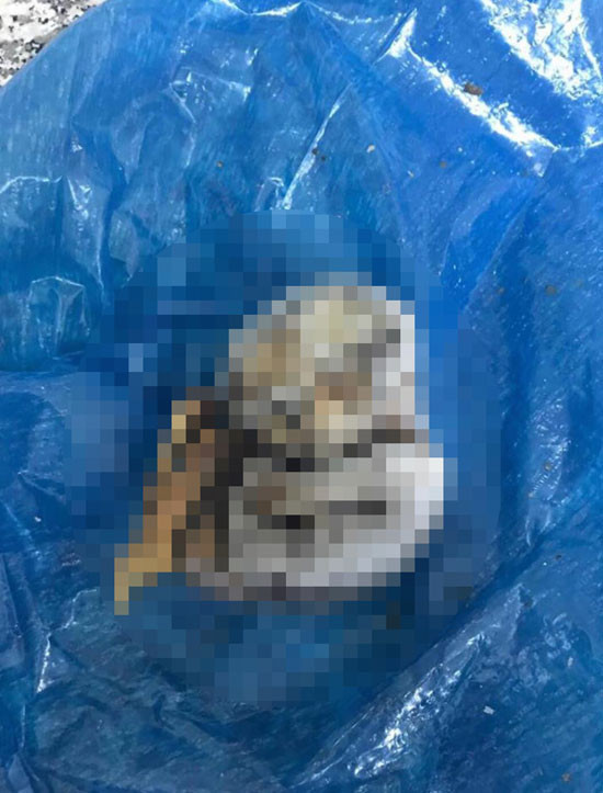  Denizli’de kan donduran olay! Boş tarlada bidonun içinde bulundu - Resim: 4