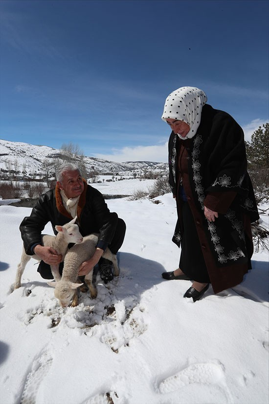 Başbakan uçağına aldı kendi elleriyle besledi! - Resim: 3