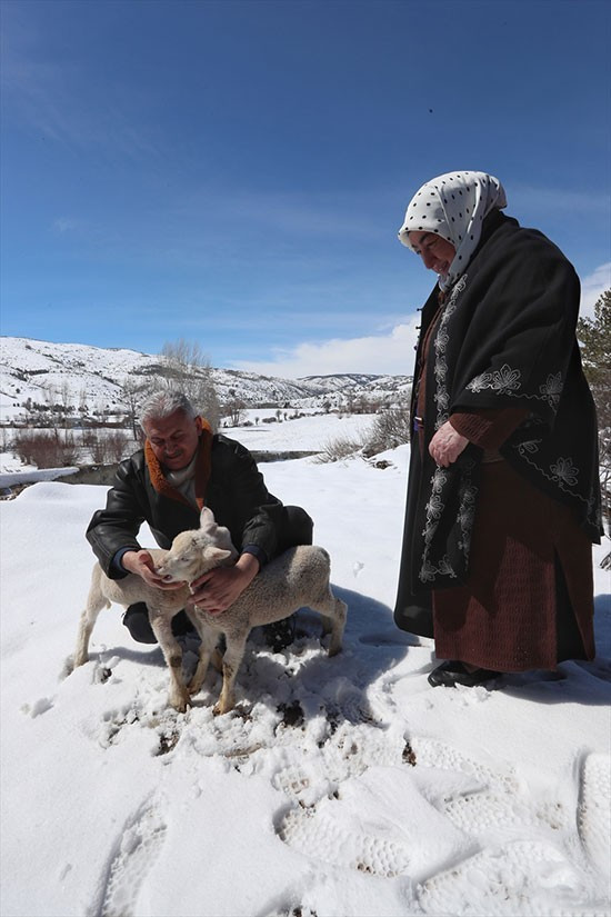 Başbakan uçağına aldı kendi elleriyle besledi! - Resim: 4